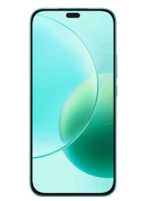 Смартфон Honor 400 Lite 8/256 зеленый